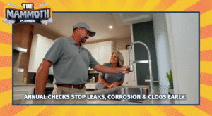 Plumbing Check Up Ad